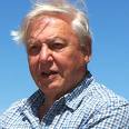 David Attenborough picture